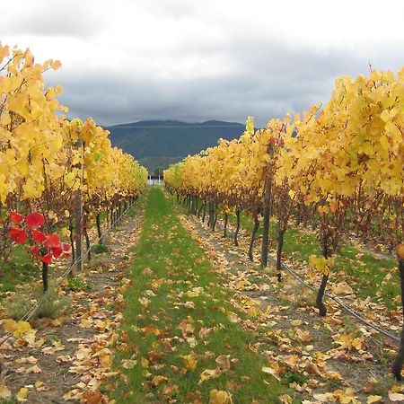 Korohi Vineyard Bnb 블레넘 외부 사진